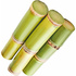 Cuban sugar cane